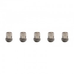 Authentic Augvape Intake Sub Ohm Tank Replacement Clapton Mesh Coil Heads - Silver, Kanthal & Nichrome, 0.2ohm (60~75W) (5 PCS)