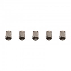 Authentic Augvape Intake Sub Ohm Tank Replacement Mesh Coil Heads - Silver, Kanthal, 0.15ohm (60~75W) (5 PCS)