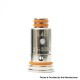 Authentic VapeSoon G.Pod Mesh Coil Head for GeekVape Boost Plus Pod System - 0.4ohm (25~33W) (5 PCS)