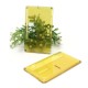 Authentic ETU Square Front + Back Door Panel Plates for BB / Billet Box Mod - Translucent Yellow, PCTG (2 PCS)