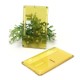 Authentic ETU Square Front + Back Door Panel Plates for BB / Billet Box Mod - Translucent Yellow, PCTG (2 PCS)