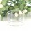 SXK NOLA Style RTA Replacement Glass Tank Tube Transparent